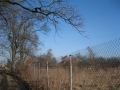 Działka, Żórawina, Suchy Dwór