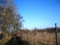 Działka, Żórawina, Suchy Dwór