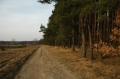 Działka, Oborniki Śląskie, Golędzinów