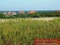 Działka, Miękinia, Krępice