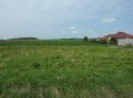 Działka, Miękinia, Pisarzowice