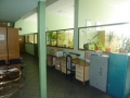 P1060551