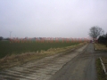 DSC07522