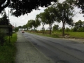 PIC03055